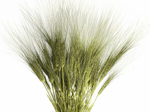 Bouquet of wildflowers from green ears of wheat 397 3D Model