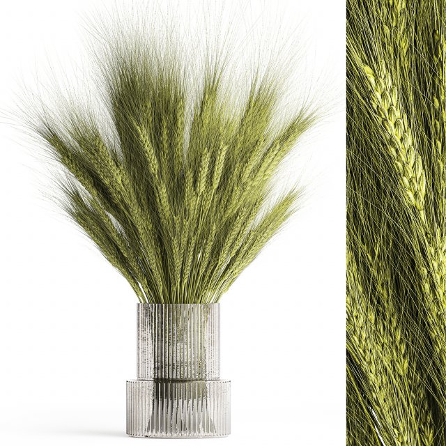 Green bouquet of wildflowers from wheat spikelets in a vase 398 Model 3D .c4d .max .obj .3ds .fbx .stl .blend 