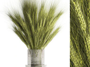 Green bouquet of wildflowers from wheat spikelets in a vase 398 3D Model