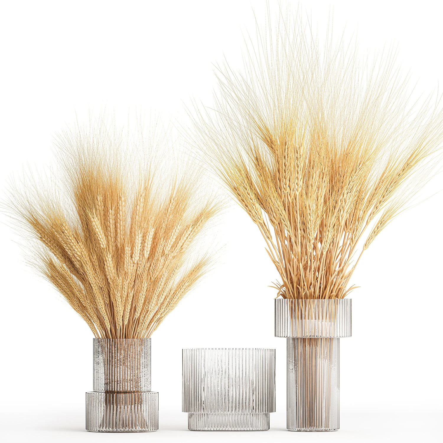 Bouquet of dried wheat spikelets in a glass vase 399 3D Model .c4d .max .obj .3ds .fbx .stl .blend 