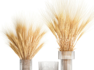 Bouquet of dried wheat spikelets in a glass vase 399 3Dモデル