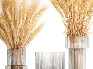 Bouquet of dried wheat spikelets in a glass vase 399 Modello 3D