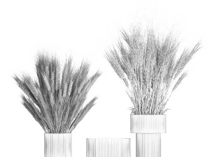 Bouquet of dried wheat spikelets in a glass vase 399 3D Model