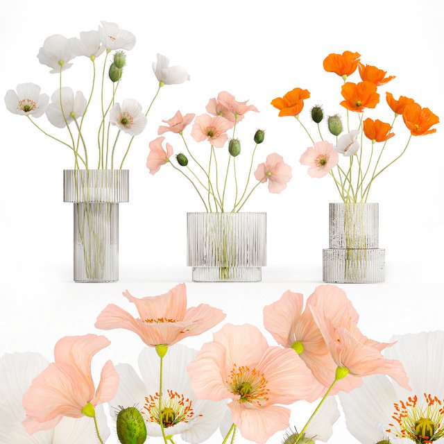 Bouquets of wildflowers with poppy in a glass vase 400 3D Модель .c4d .max .obj .3ds .fbx .stl .blend 