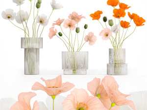 Bouquets of wildflowers with poppy in a glass vase 400 3D Model