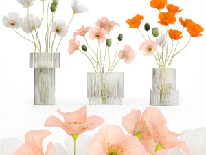 Boeketten wilde bloemen met klaproos in een glazen vaas 400 3D Model