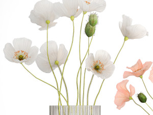 Bouquets of wildflowers with poppy in a glass vase 400 3D Модель