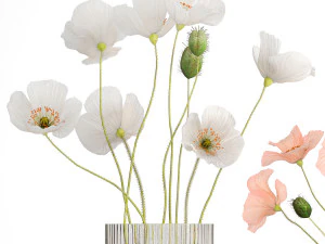 Bouquets of wildflowers with poppy in a glass vase 400 3D Model