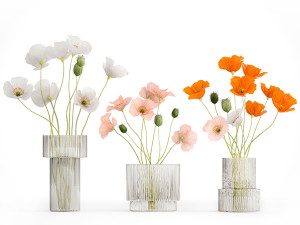 Bouquets of wildflowers with poppy in a glass vase 400 3D Модель