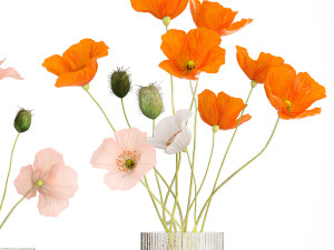Bouquets of wildflowers with poppy in a glass vase 400 3D Модель