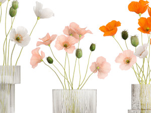 Bouquets of wildflowers with poppy in a glass vase 400 3D Модель