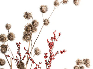 Buqu&ecirc; de flores secas com ramos de Thistle Ilex em vaso 401 Modelo 3D