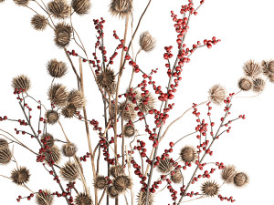 Bouquet of dried flowers with Thistle Ilex branches in a vase 401 3D मॉडल
