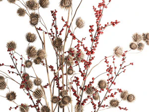 Buqu&ecirc; de flores secas com ramos de Thistle Ilex em vaso 401 Modelo 3D