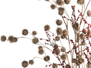 Bouquet of dried flowers with Thistle Ilex branches in a vase 401 3D मॉडल