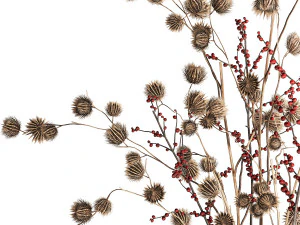 Buqu&ecirc; de flores secas com ramos de Thistle Ilex em vaso 401 Modelo 3D