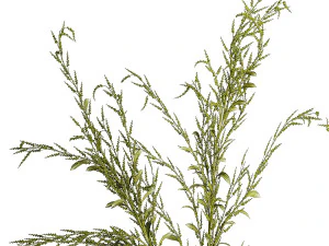 Buqu&ecirc;s de ramos verdes de flores Solidago em vaso 402 Modelo 3D