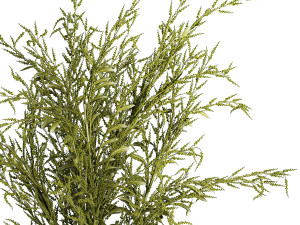 Bouquets of green branches of Solidago flowers in a vase 402 3D Model