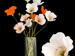 Bukiet Polnych Kwiatów W Szklanym Wazonie Z Makiem 403 Model 3D