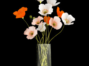 Bouquet Of Wildflowers In A Glass Vase With Poppy 403 3D Model