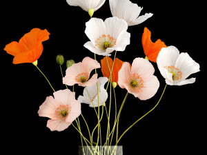 Bouquet Of Wildflowers In A Glass Vase With Poppy 403 3D Model