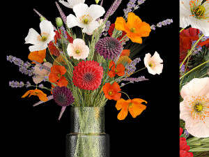 Bouquet of wildflowers Chrysanthemum Lavender Poppy wheat 405 3D Модель