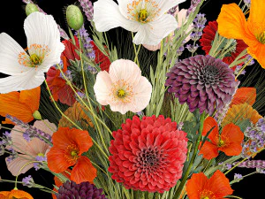 Bouquet of wildflowers Chrysanthemum Lavender Poppy wheat 405 3D Model
