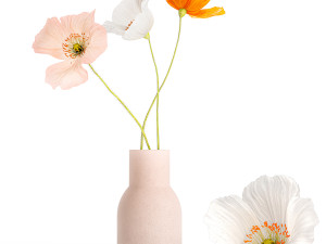 Small Bouquet Of Wildflowers Poppy In A Vase 406 3D Модель