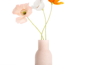 Small Bouquet Of Wildflowers Poppy In A Vase 406 Modelo 3D