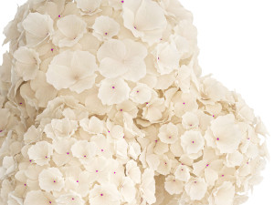 Small bouquet of white flowers in a pink hydrangea vase 407 Model 3D