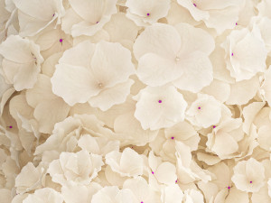 Small bouquet of white flowers in a pink hydrangea vase 407 Model 3D
