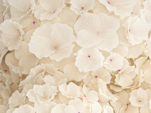 Small bouquet of white flowers in a pink hydrangea vase 407 3D Model
