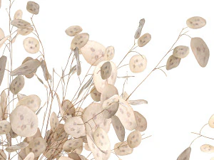 Set of bouquets of dried flowers with Lunaria branches 409 3D Model