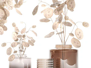 Set of bouquets of dried flowers with Lunaria branches 409 3D Model