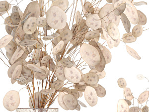 Set of bouquets of dried flowers with Lunaria branches 409 3D 모델