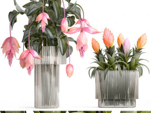 मेडिनिला ब्रोमेलिया 410 के साथ विदेशी गुलाबी फूलों का गुलदस्ता 3D मॉडल