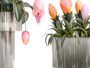Bouquet of exotic pink flowers with Medinilla bromelia 410 Modello 3D