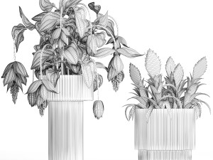 Bouquet of exotic pink flowers with Medinilla bromelia 410 Modello 3D