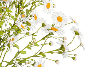 Small bouquet of wildflowers daisies chamomile 411 3D Model