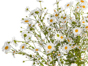 Small bouquet of wildflowers daisies chamomile 411 3D Model