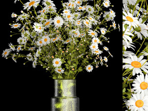 Bouquet of white wildflowers chamomile daisies 412 3Dモデル