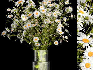 Boeket witte wilde bloemen kamille madeliefjes 412 3D Model