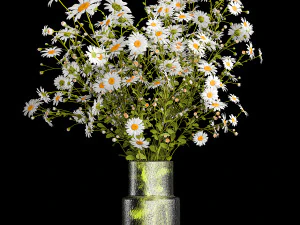 Bouquet of white wildflowers chamomile daisies 412 3D Model