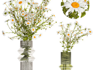 Bouquet Of White Wildflowers Chamomile Daisies 413 Modelo 3D