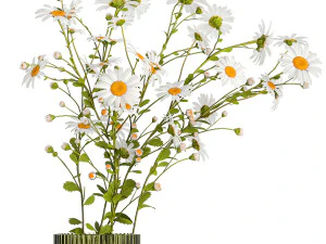 Bouquet Of White Wildflowers Chamomile Daisies 413 3D Model