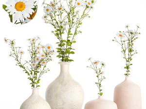 Zestaw bukietów białych kwiatów polnych stokrotki rumiankowe 414 Model 3D