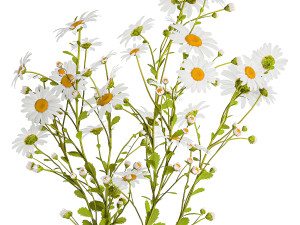 Set of bouquets of white wildflowers chamomile daisies 414 Modelo 3D