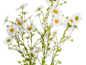 Set of bouquets of white wildflowers chamomile daisies 414 3D Model