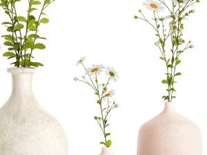 Set of bouquets of white wildflowers chamomile daisies 414 3D Model
