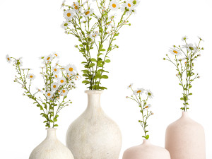 Set of bouquets of white wildflowers chamomile daisies 414 Modelo 3D